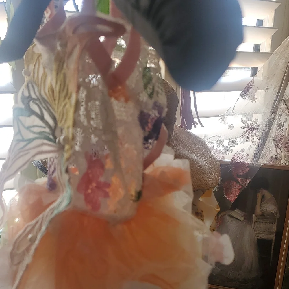 Colorful Butterfly Dog/ Cat Dress